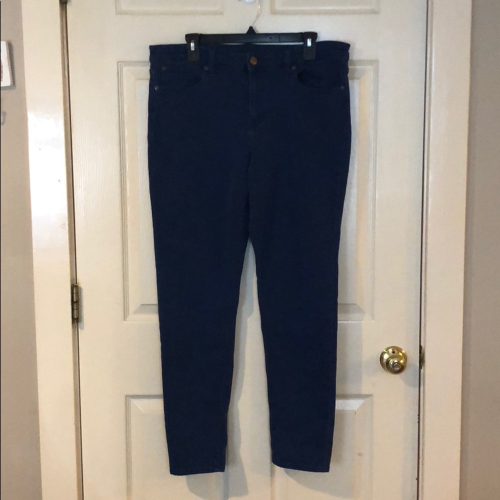 Blue Gap Premium Super Skinny Pants